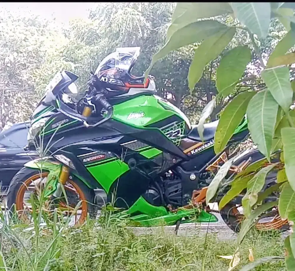 Kawasaki Ninja 250 fi