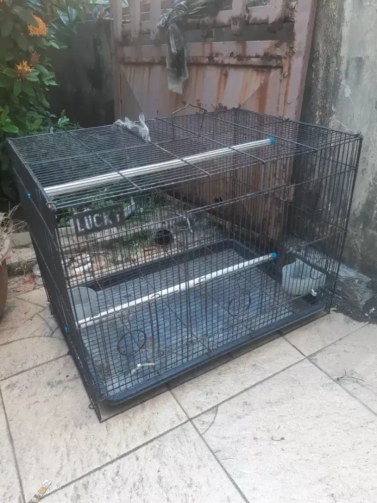 Kandang burung besi bekas
