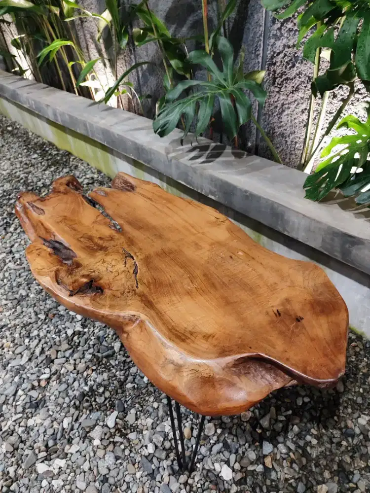 Meja Akar Kayu Jati