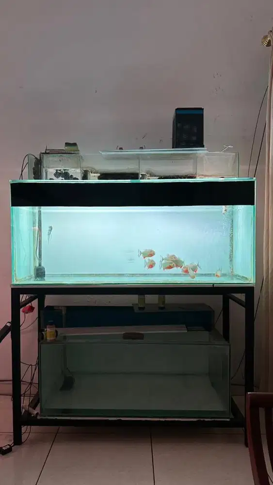 Aquarium 120x50x50 fulset