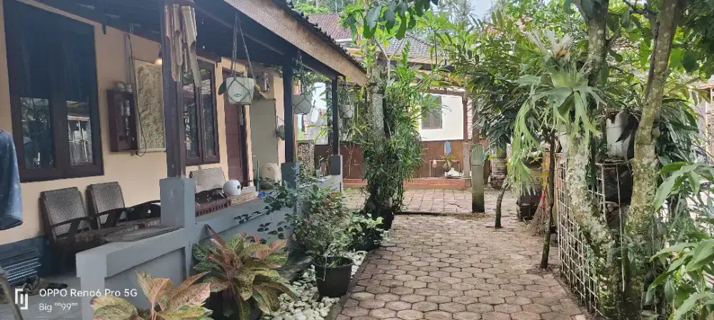 RUMAH MURAH BALI