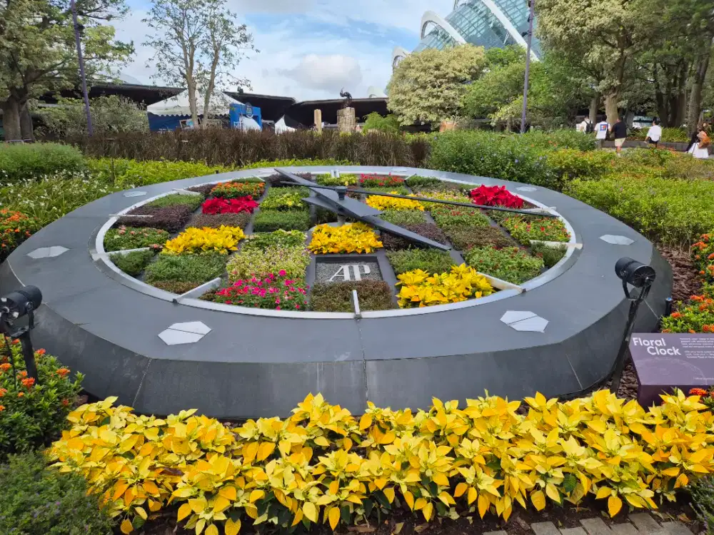 Asisten Rumah Tangga Pulang Pergi