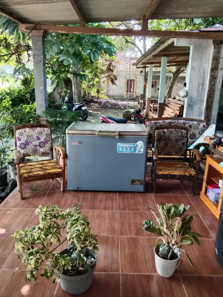 Jual Freezer box 200 liter hari ini