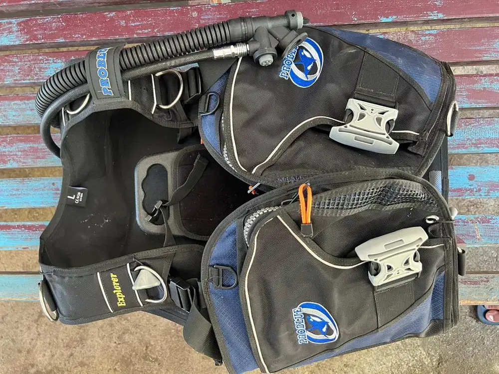 BCD Problue explorer