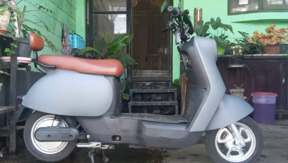 Saige type Cameron pro max 800 Watt