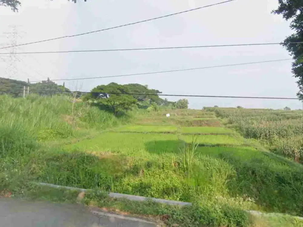 Jual Lelang Tanah Mojokerto Di Jatirejo-Jabung