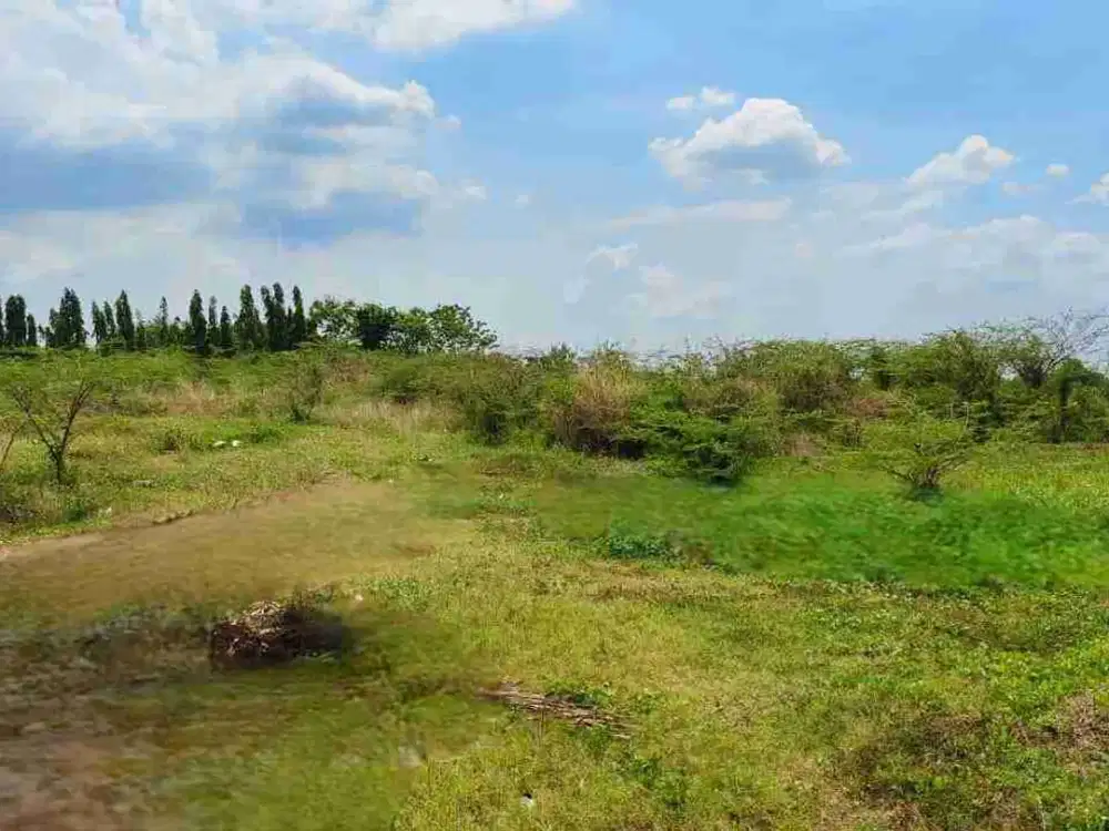 0513,117 Jual Lelang Tanah Mojokerto Di Raya Padangsri Di Gondang