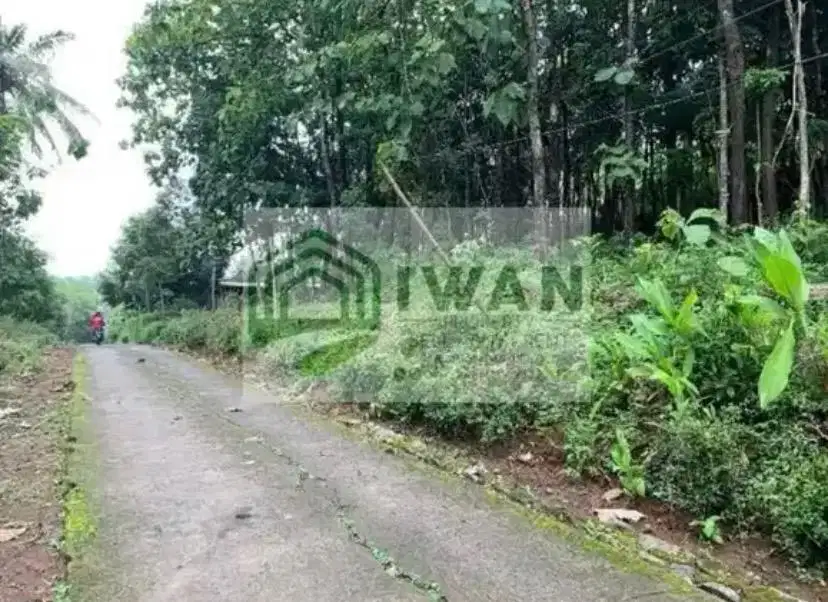 Tanah Strategis Dekat Jalan DPU Poros Desa