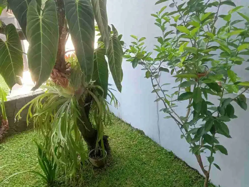 RUMAH MURAH KOMPLEK PASIR IMPUN BANDUNG UTARA