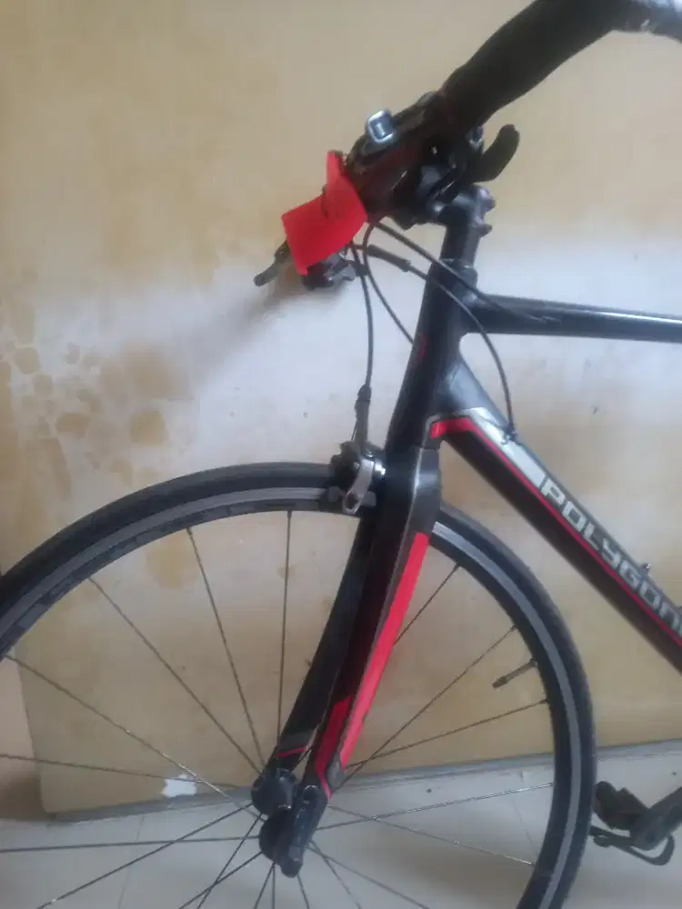 poygon helios F.sixe 53