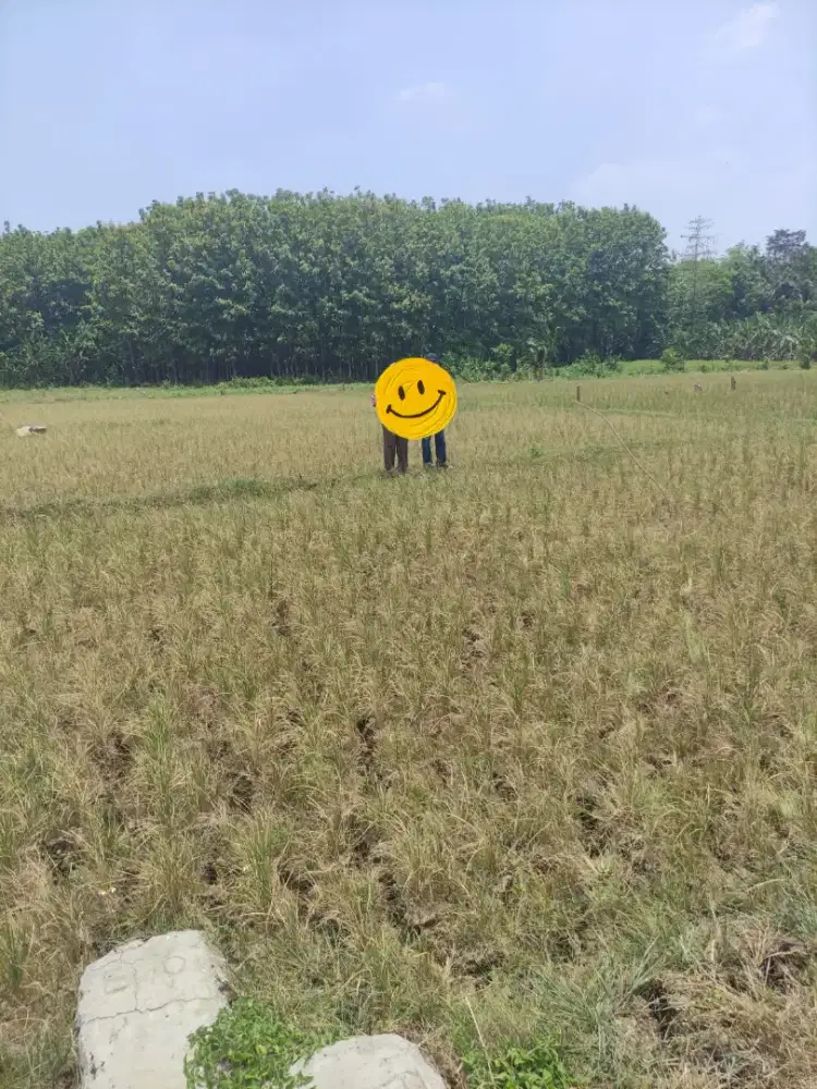 TANAH DIJUAL CEPAT BU