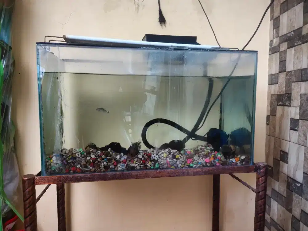 Aquarium kaca & meja
