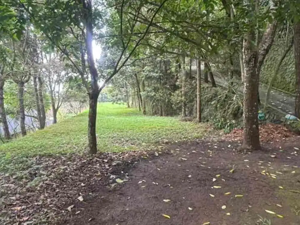 SPESIFIKASI TANAH DIJUAL

TANAH DAGO ATAS HARGA SUPER MURAH 

