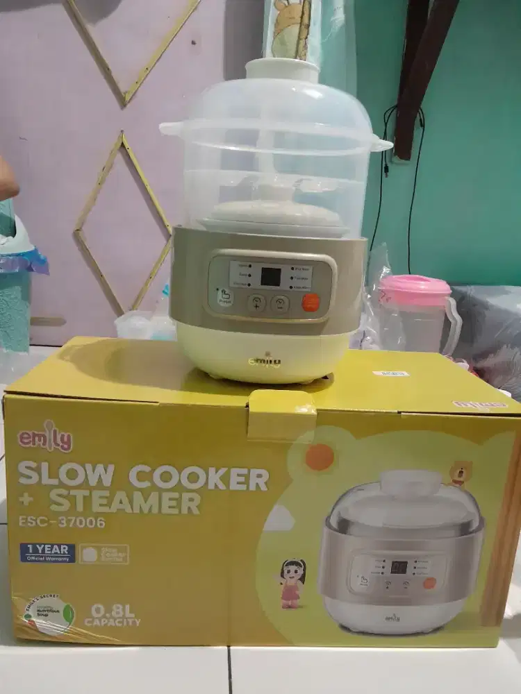 Slow cooker + steamer