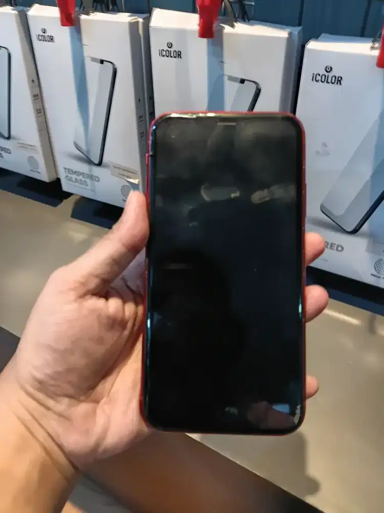 Iphone 11 (256gb) Matot buat sparepart