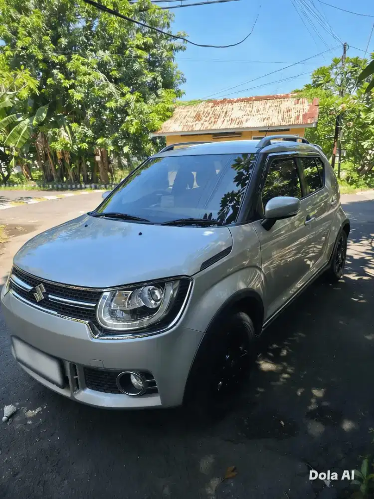 Suzuki Ignis GX MT 2019