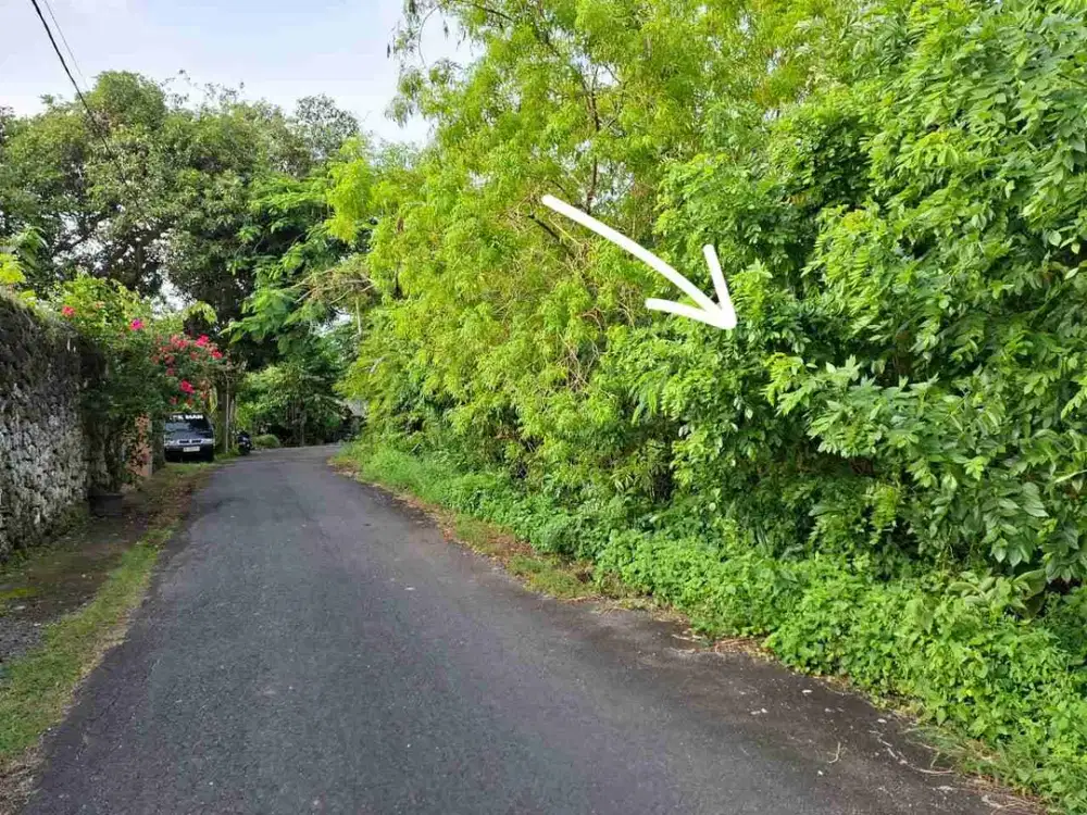 Jual Tanah 200m² & 196m² Lokasi Jl Temu Dewi Pecatu Uluwatu area strategis Investasi Zona Kuning & SHM