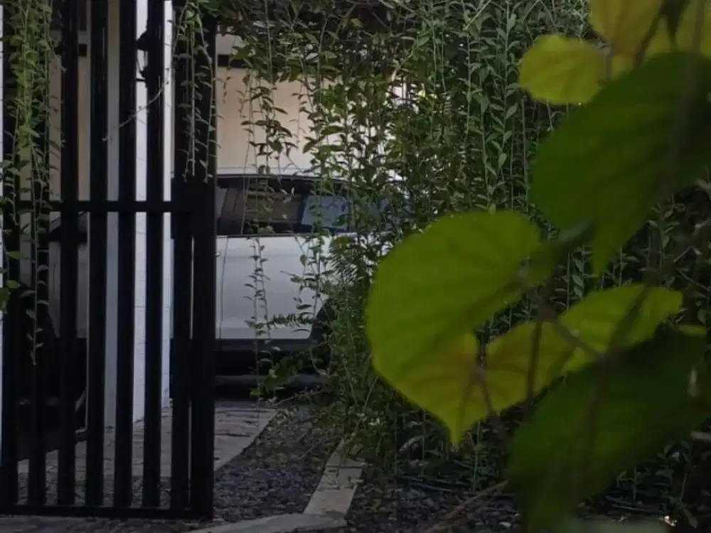 Rumah Cantik Dalam Perumahan Di Giwangan Jogja Kota