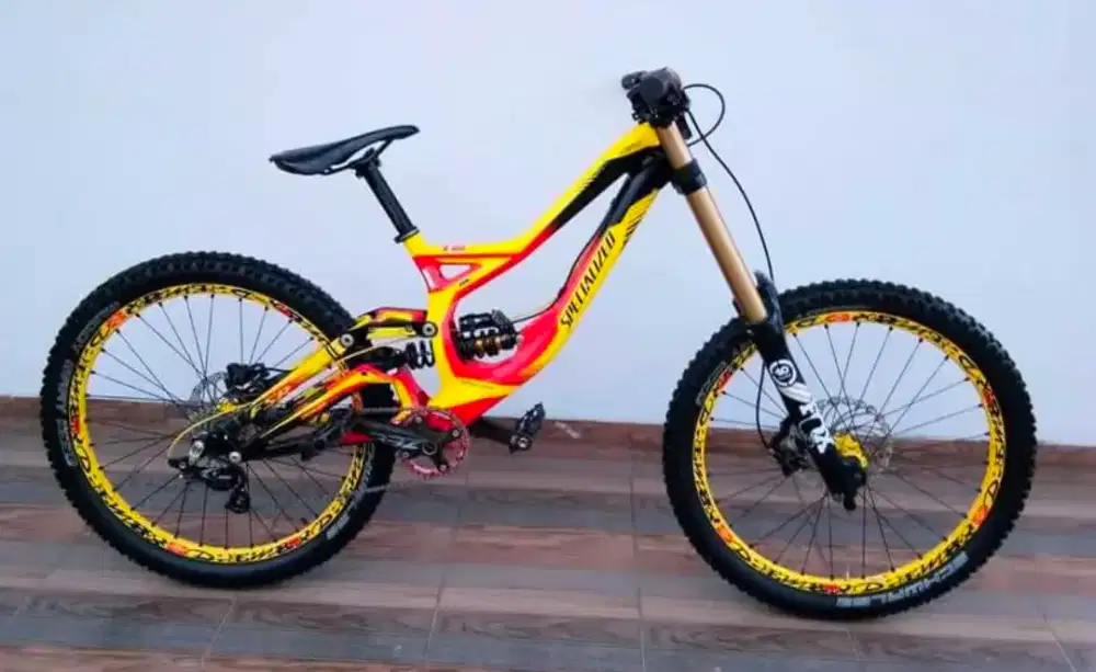 Full bike specialized demo 8