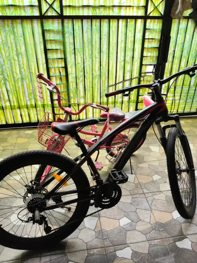 Sepeda gunung Aviator