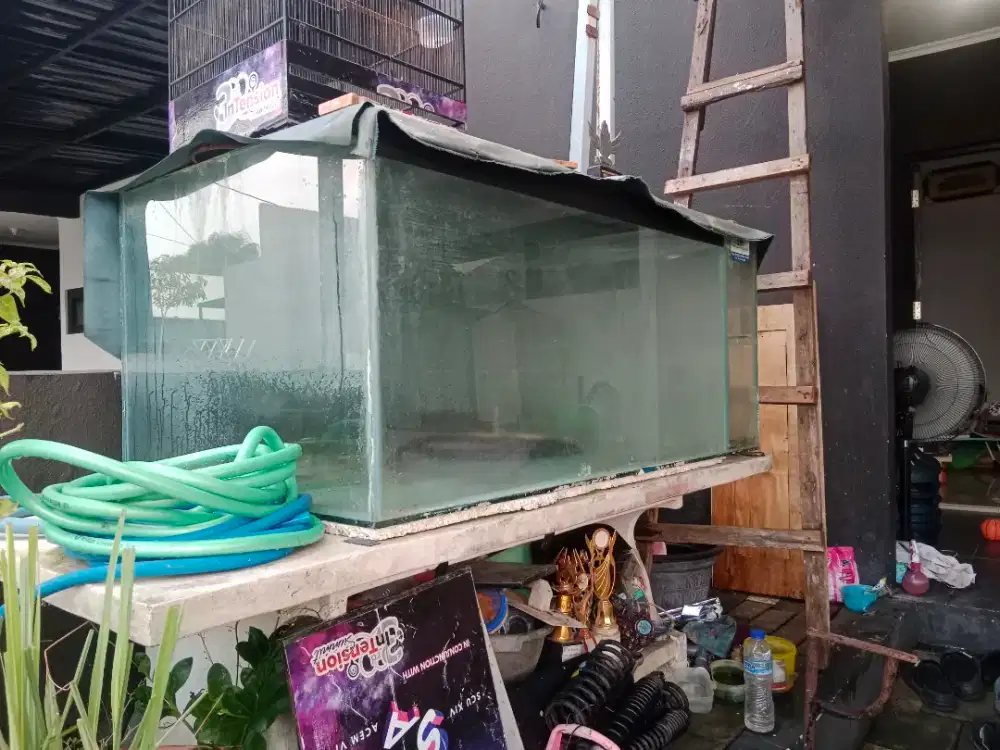 Aquarium bekas Arwana