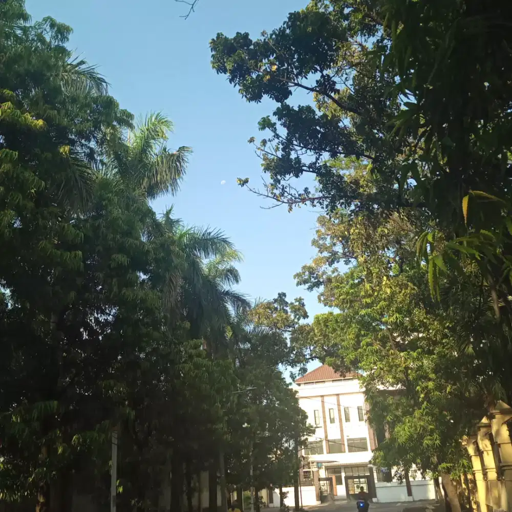 JASA ART HARIAN / PP