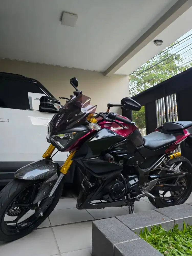 Z250 2016 akhir SPECIAL ( MODIFIKASI GANTENG)