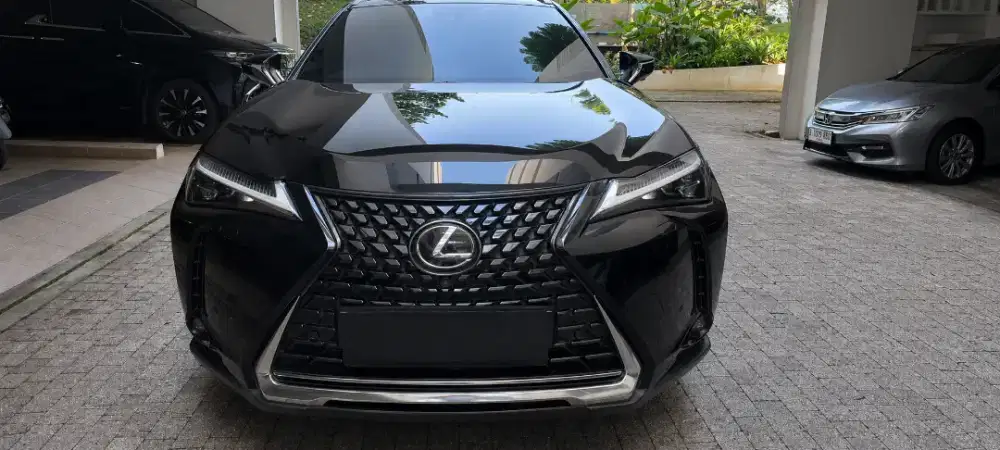 Lexus UX300e, tangan pertama