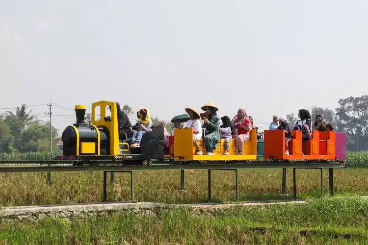 odong odong wahana kereta sawah