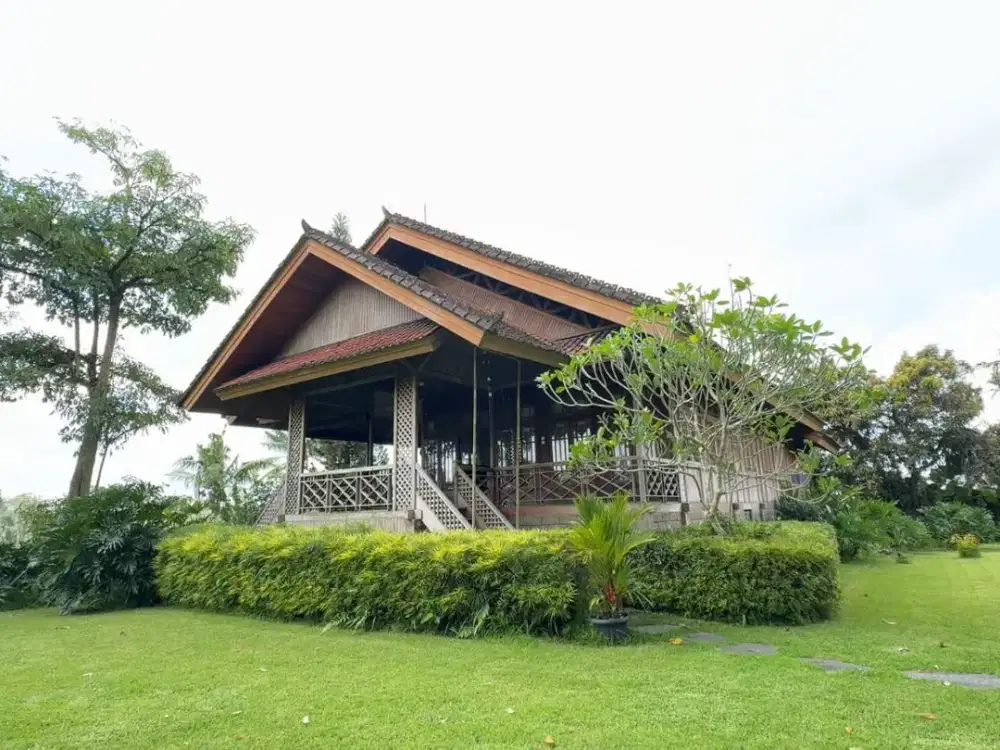 DIJUAL TANAH BONUS RUMAH ‼️‼️  Tanah Dengan View Sawah & Gunung di Tegallalang, Ubud