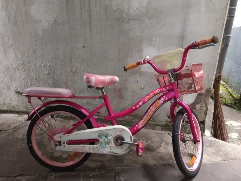Sepeda anak cewek