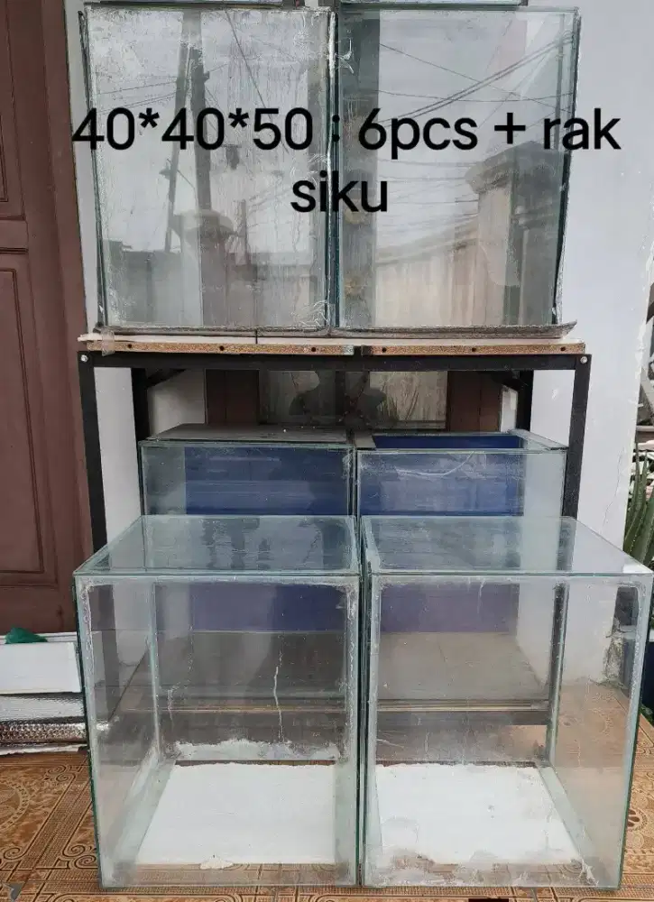 AQUARIUM/TANK IKAN LOUHAN