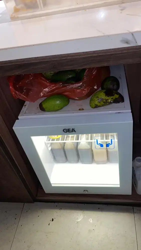 Art lansia lgs majikan