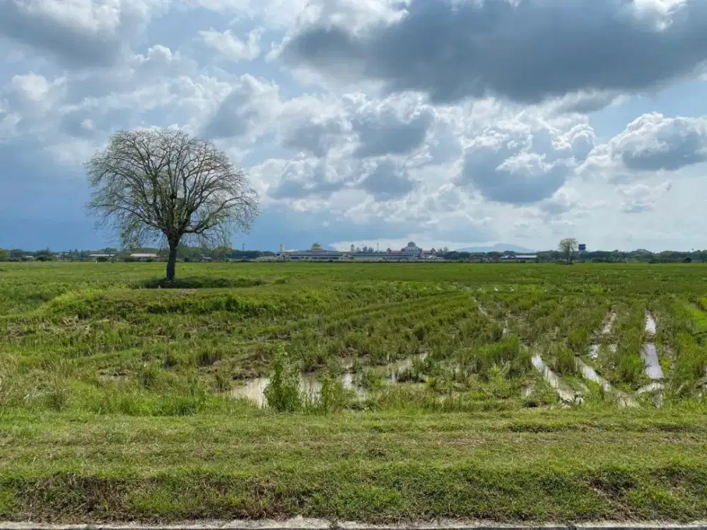 Dijual Tanah Sawah Dekat Bandara SIM