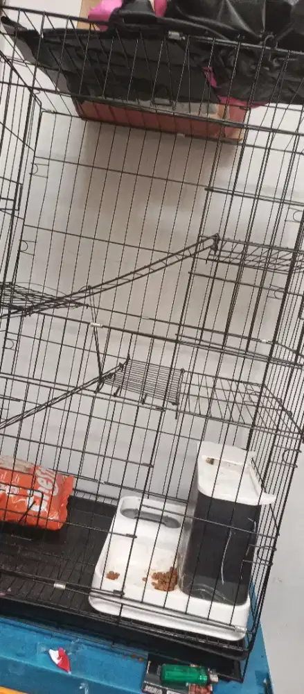 Jual kandang kucing dapet kucingnya versia