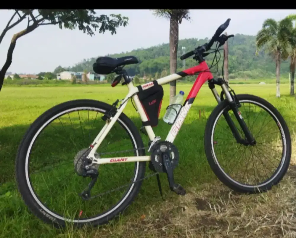 GIANT Boulder/USA full orisinil