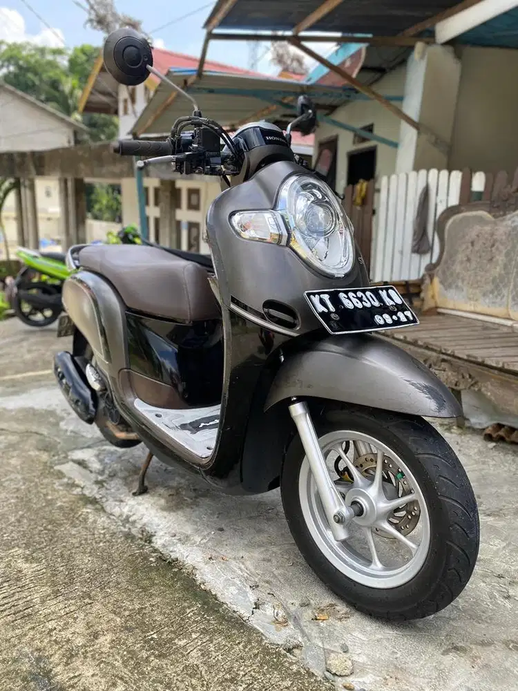 Honda scoopy stylis