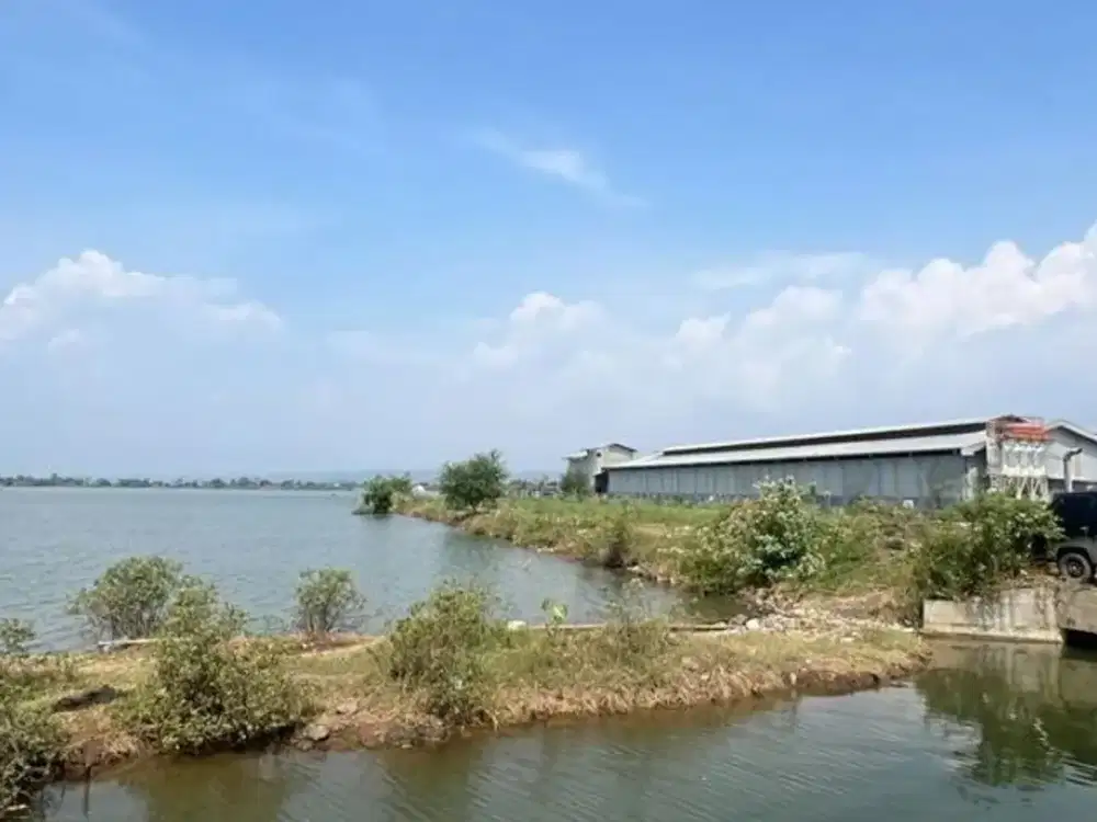 Dijual Tanah Luas luas 3Ha Lokasi Pelabuhan Kendal