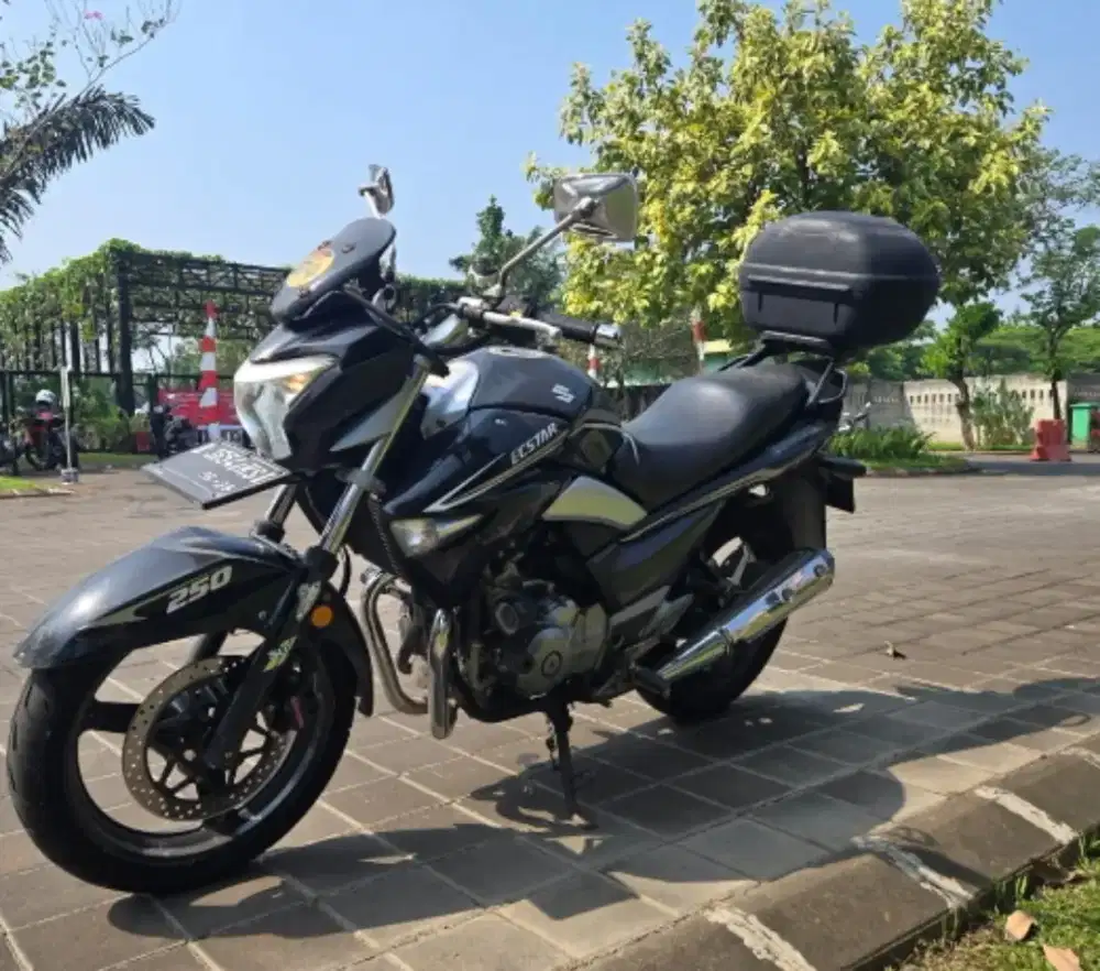 Suzuki Inazuma 250cc 2 selinder