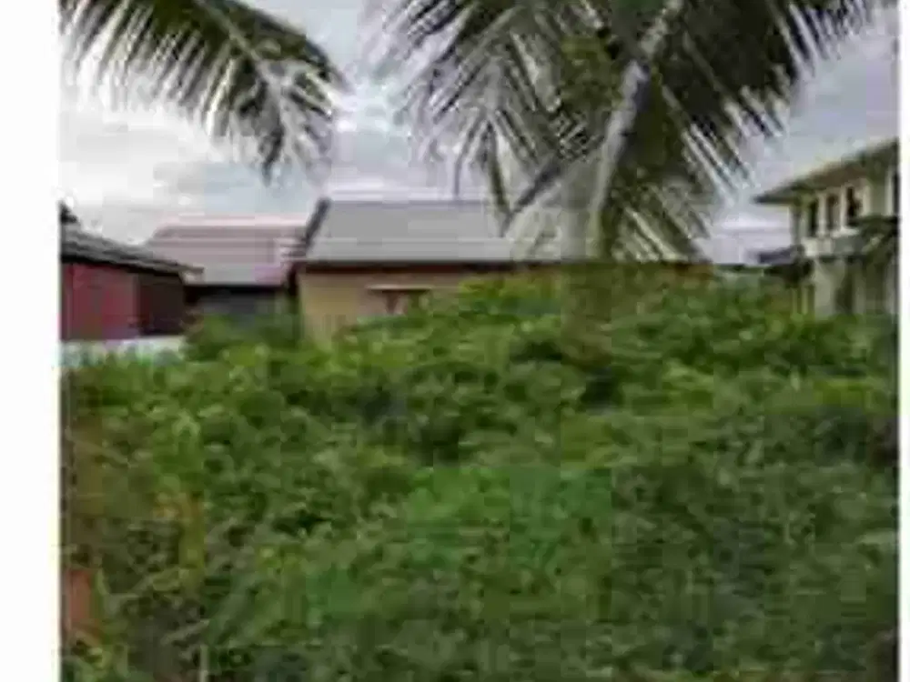 Dijual Tanah murah di jalan karya gambut Banjar kalsel