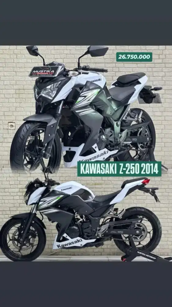 Kawasaki z250 2014