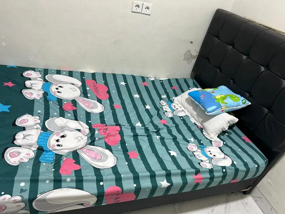 Set Dipan + royal foam spring bed 120 x 200