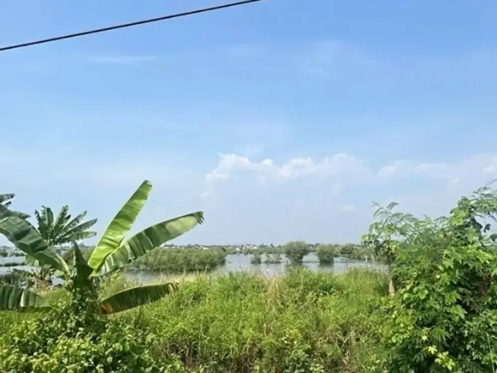 Tanah Luas 30.300 M2 Lokasi Pelabuhan Kendal