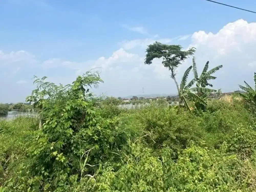 Tanah Luas 10.600 m2 Terletak di Jl. Pelabuhan Kendal