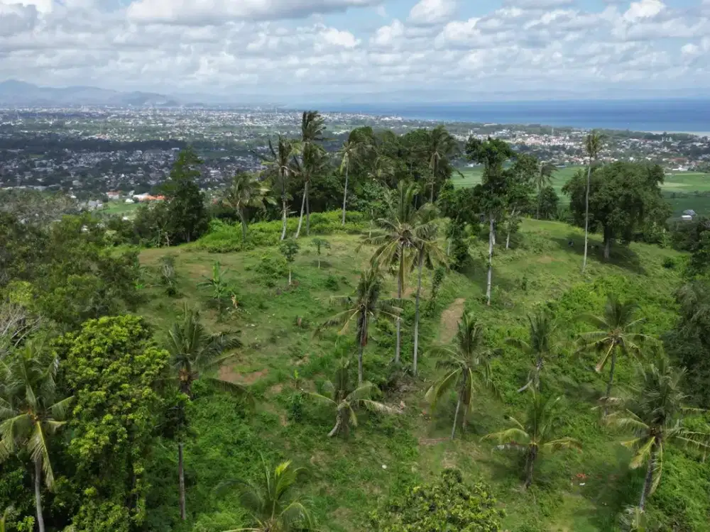 Tanah kapling Senteluk Hill - Bukit Bengkaung Batu layar Lombok