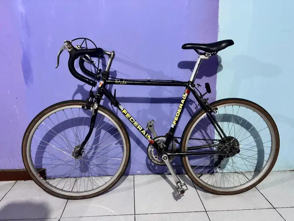 Sepeda federal alpha 550