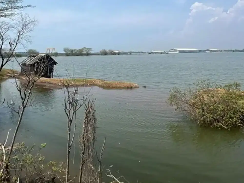 Dijual Tanah Dengan Luas 2 Ha Lokasi Pelabuhan Kendal