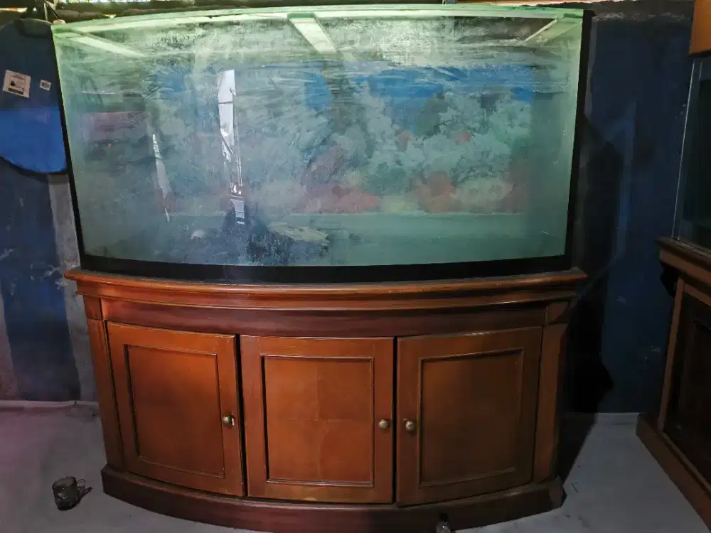 Akuarium melengkung + kabinet