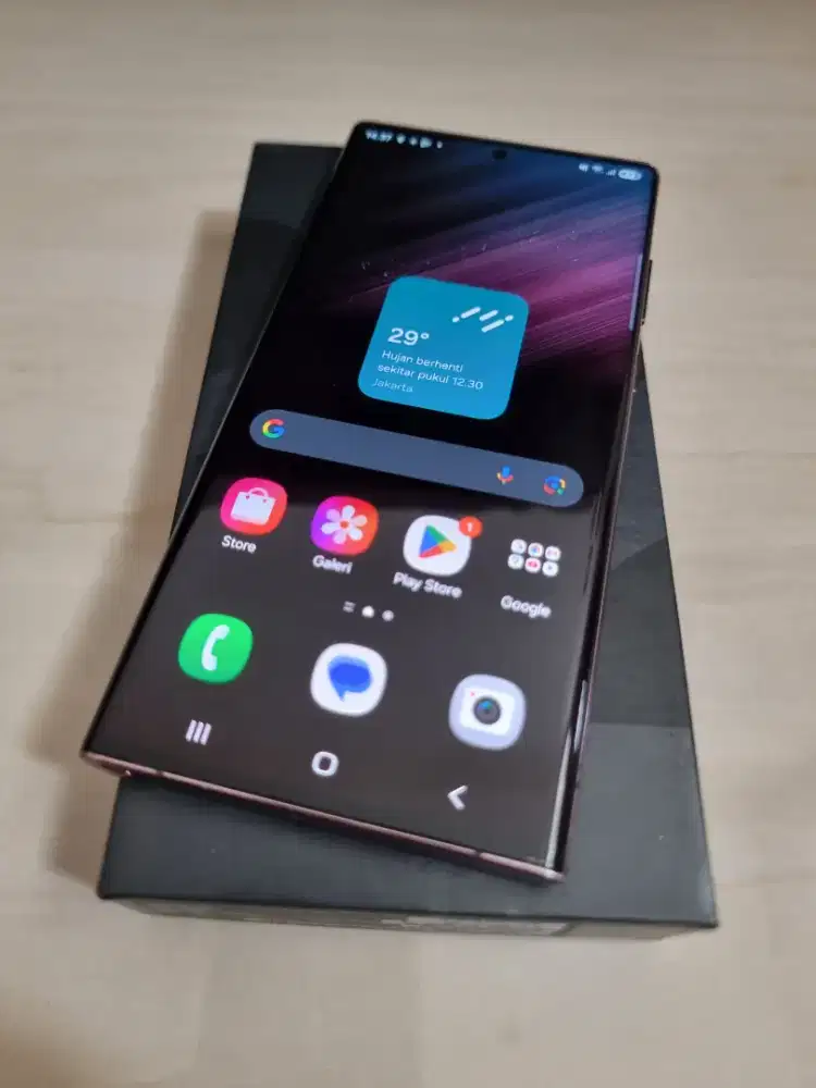 Samsung S22 Ultra Sein