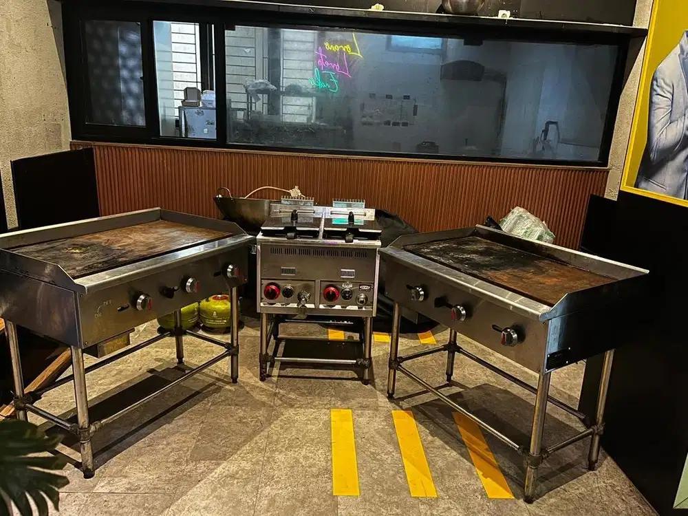 Deep Fryer stainless